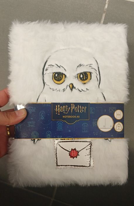 Caderno do Harry Potter