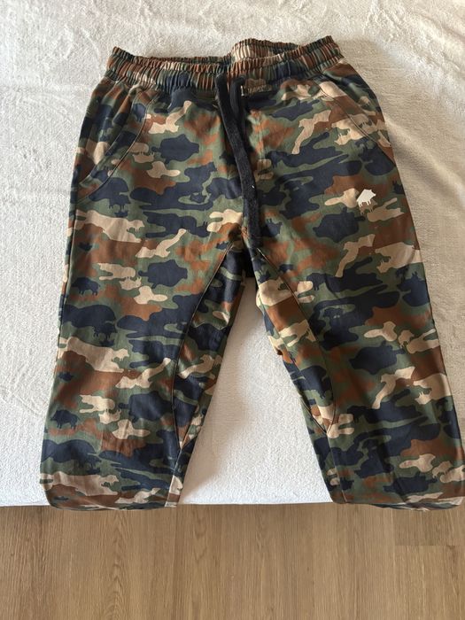 Joggery moro WK dzik