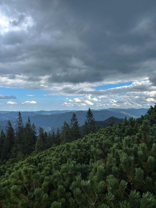 Будинок у Карпатах з банею та каміном "Перлина Прикарпаття"