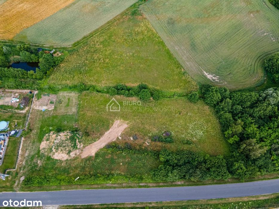 Duża działka budowlana blisko Włoszakowic