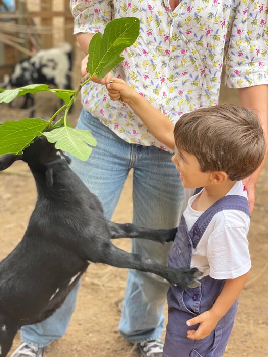 Festas para Crianças em Quinta com Animais