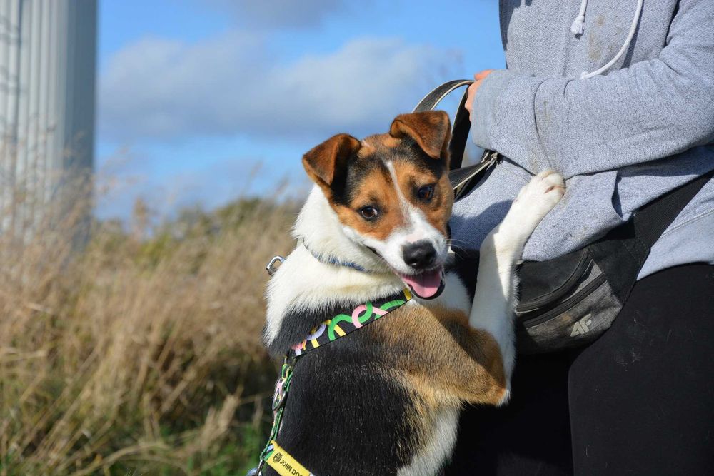 Rio nie widzi świata – ale szuka w nim swojego człowieka