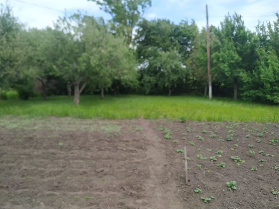 Будинок в с.Перехрестівка