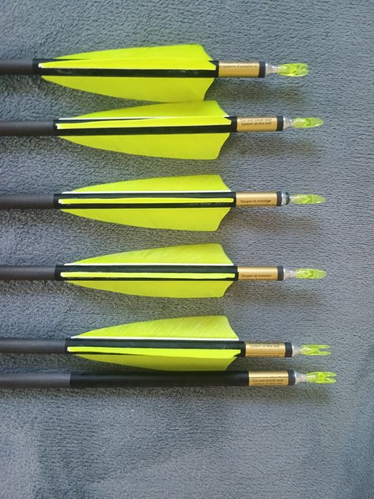6 strzał.  EASTON Carbon TRIUMPH 400 - 9.3mm Alu Core