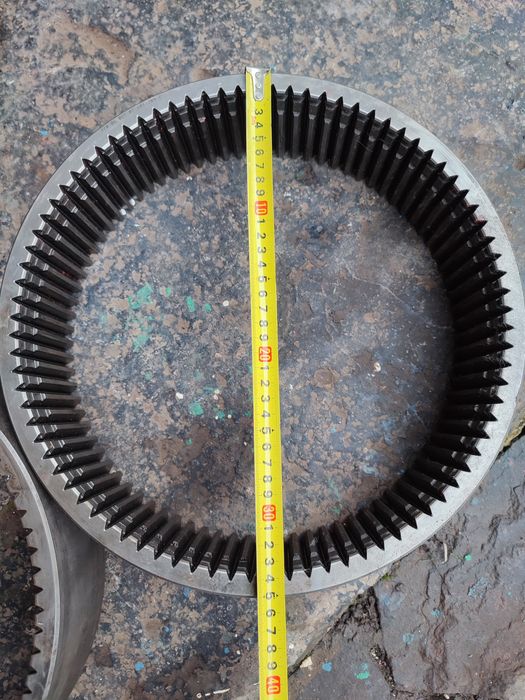 Вінець забчастий