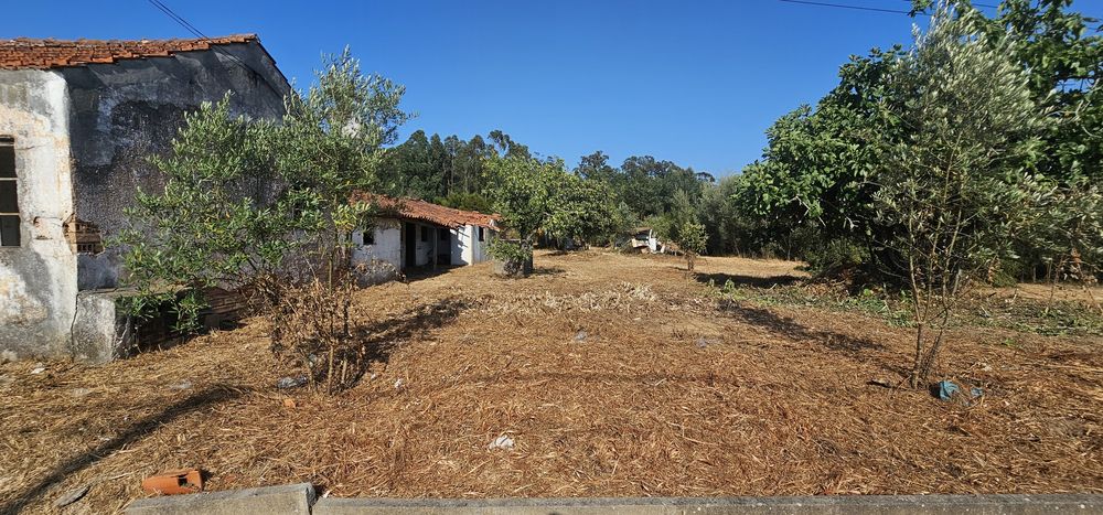 Limpezas de terrenos