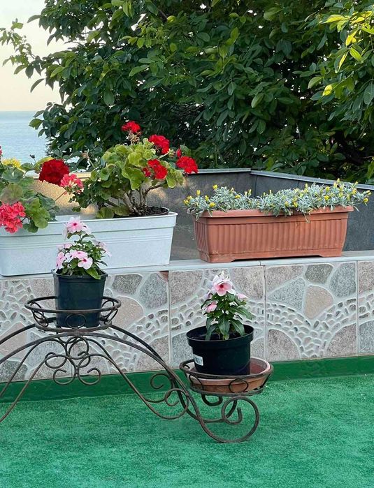 Продам коттедж возле моря ЛД