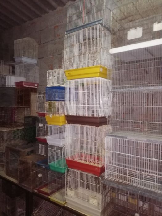 Gaiolas usadas BARATAS