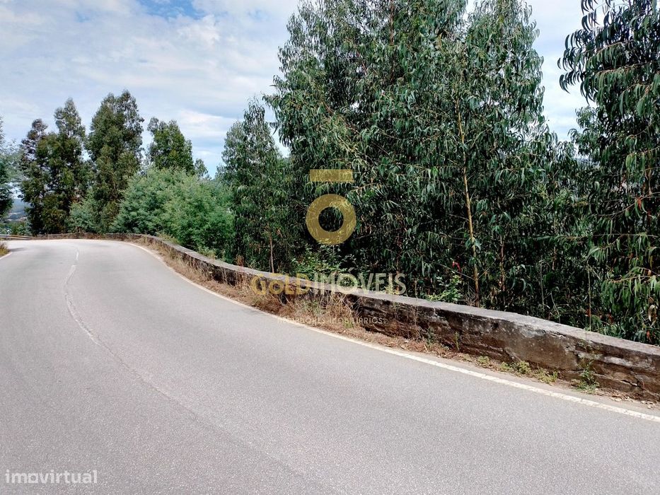 Terreno Rústico  Venda em Raiva, Pedorido e Paraíso,Castelo de Paiva