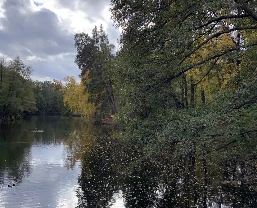 1-комнатная квартира по адресу ул. Квитки Цисик (площадь 30,6 м²) - Atlanta.ua - фото 9