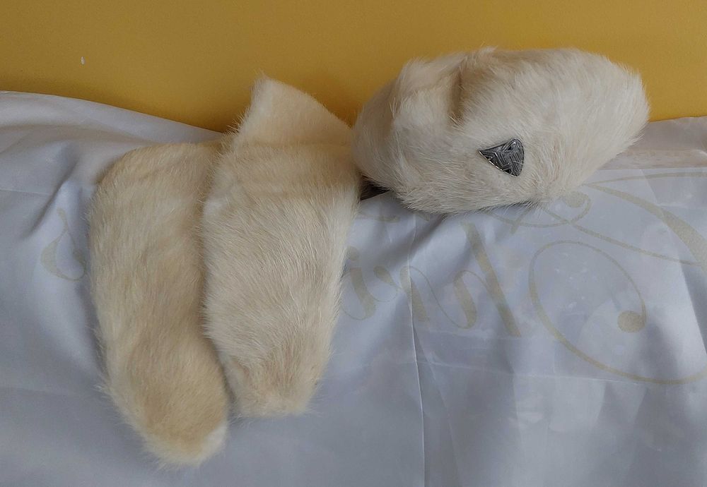 Beret i kołnierz z nutrii