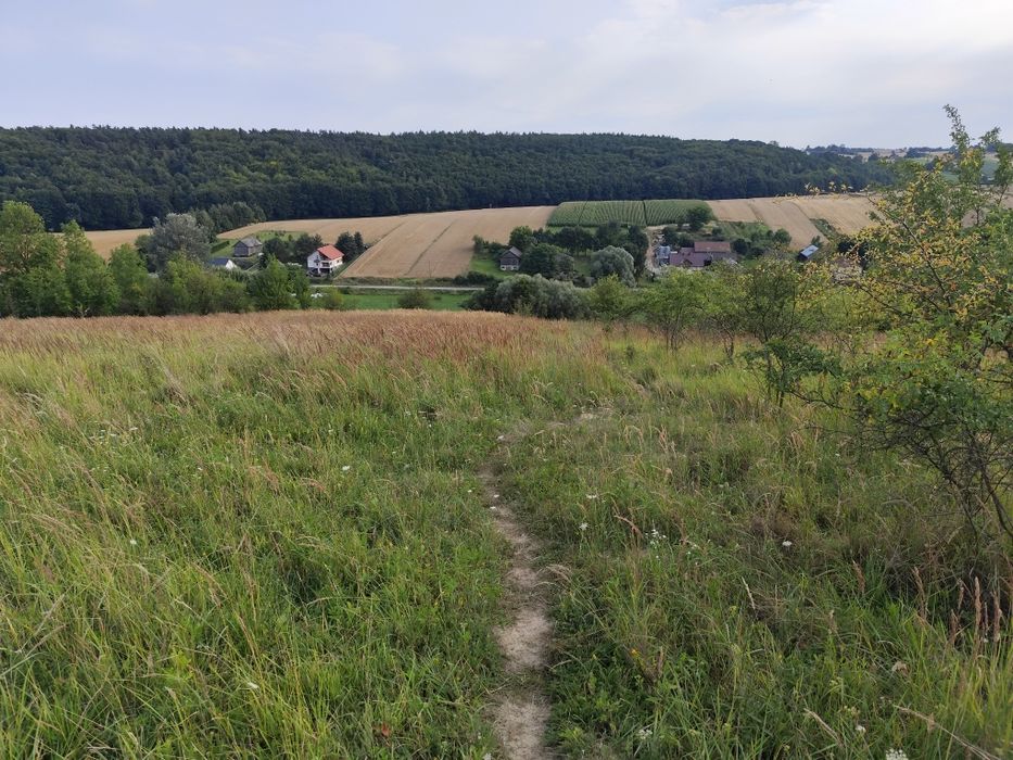 Działka rolna 1,03 H gmina Gołcza - Widok 5