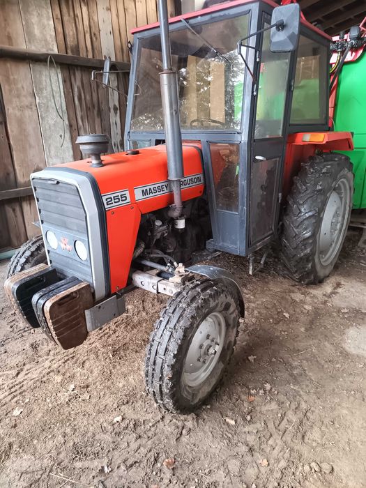 Sprzedam Ursus MF 255