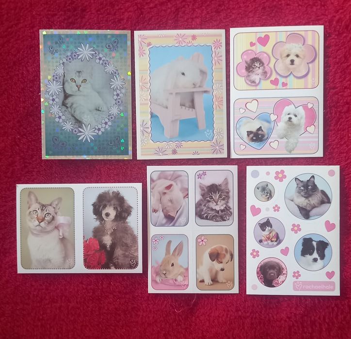 Conjunto de 6 Cromos Perfect Pets