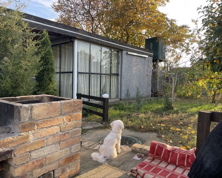 Продам дачу   Павлоград  в  районе  ПЗТО