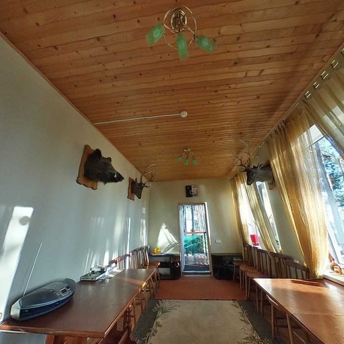 Подобова оренда сучасного будинку на березі Дніпра в сосновому лісі.