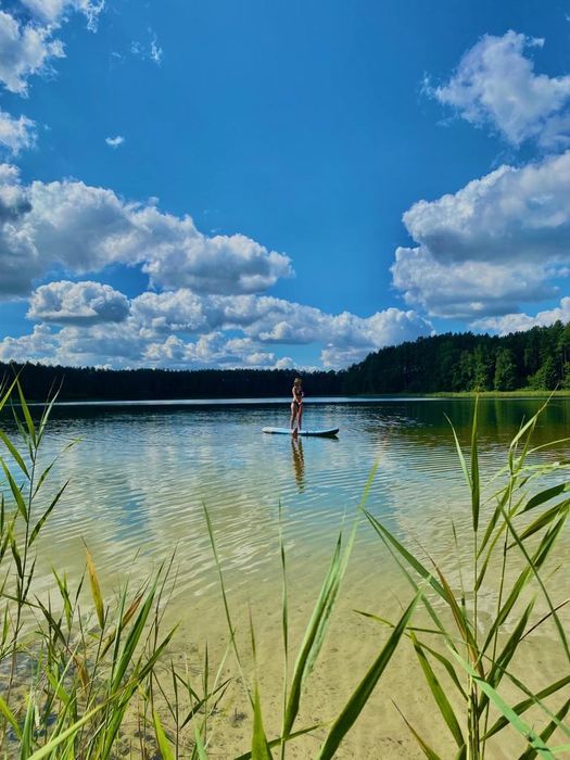 Domki w sam las. Domek Bory Tucholskie nad jeziorem