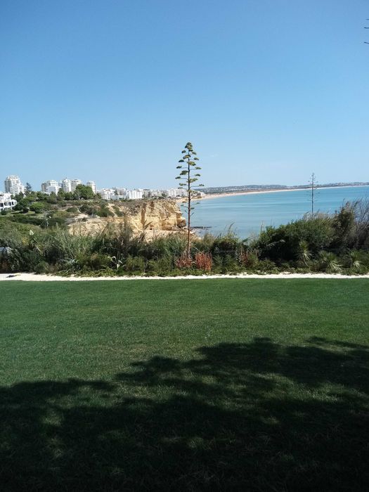 Serviços de jardinagem