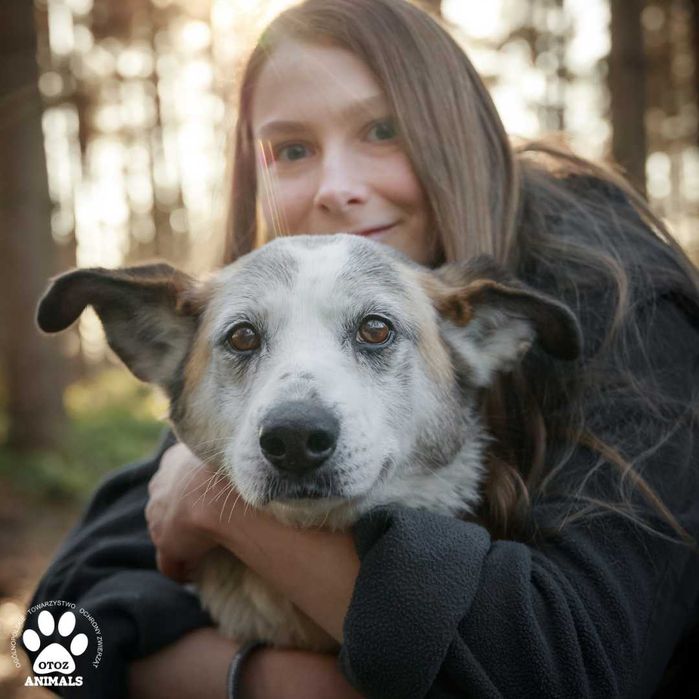 Przemiła sunia Nelcia do adopcji!