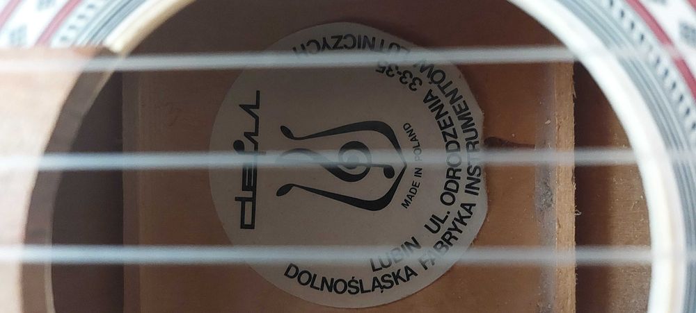 Gitara akustyczna Delfin