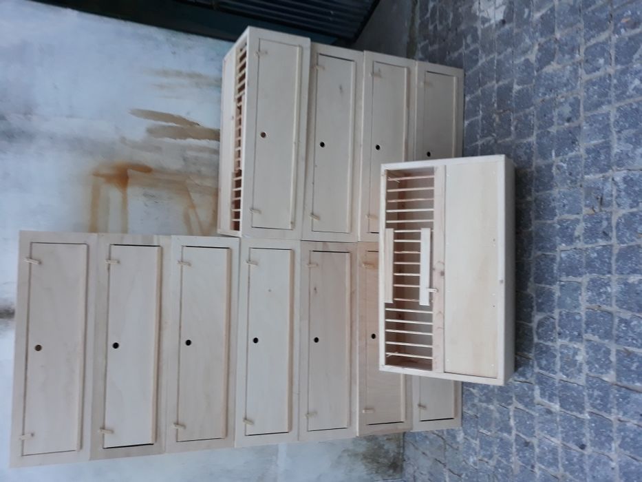 malas comedouros grite mistura