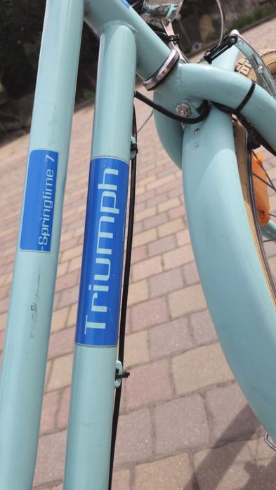Rower dziecięcy Triumph Springtime 7