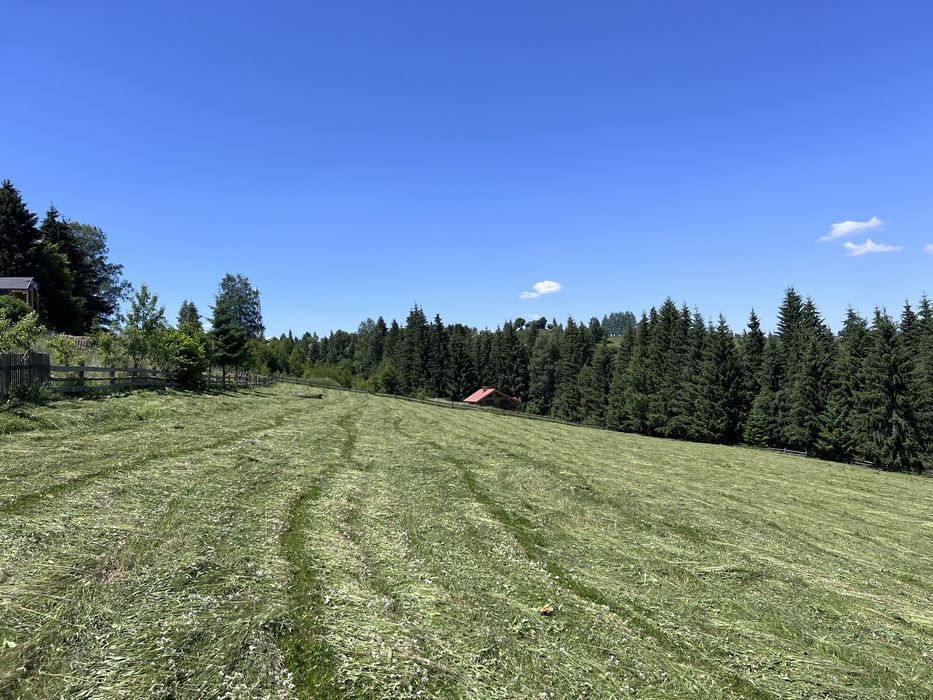 115 соти ціна - 3500$ за 1 соту Яблуниця - View 5