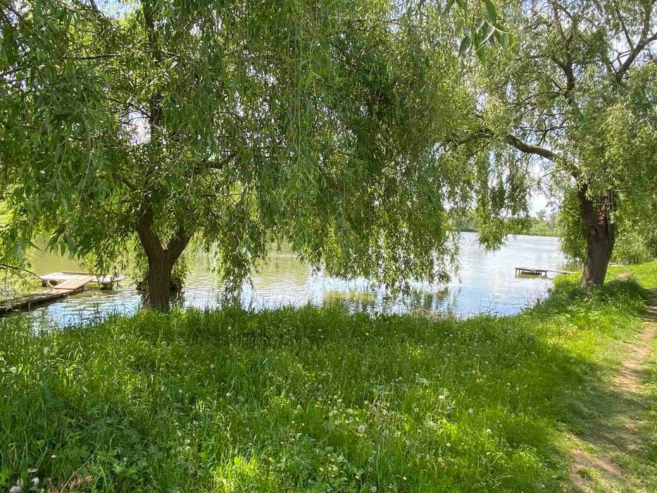 Продам  будинок в Рибцях ( Полтава).