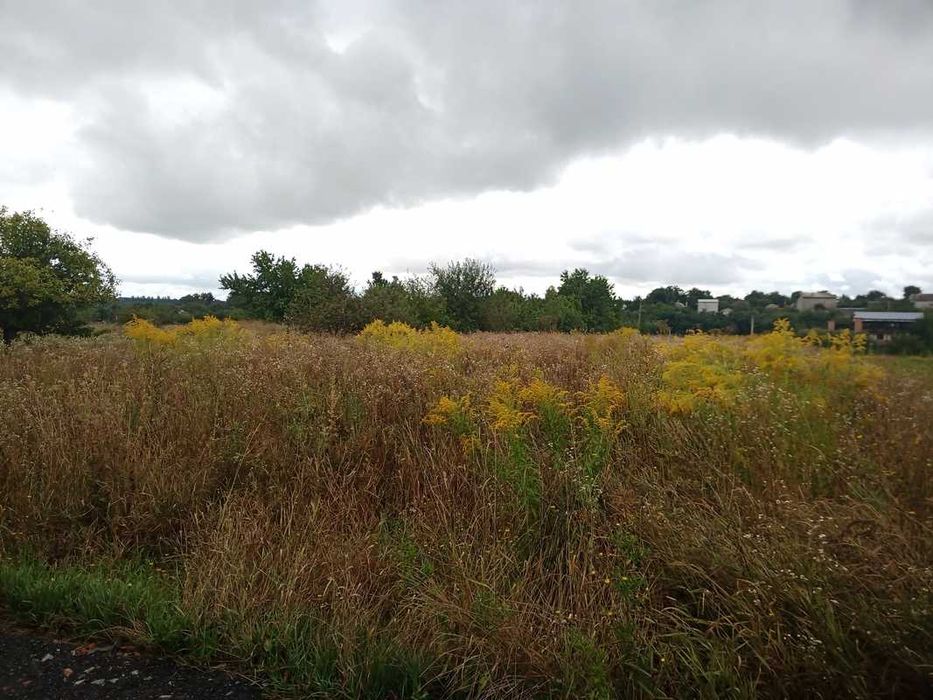 Продаж земельної ділянки в селі Лука-Мелешківська