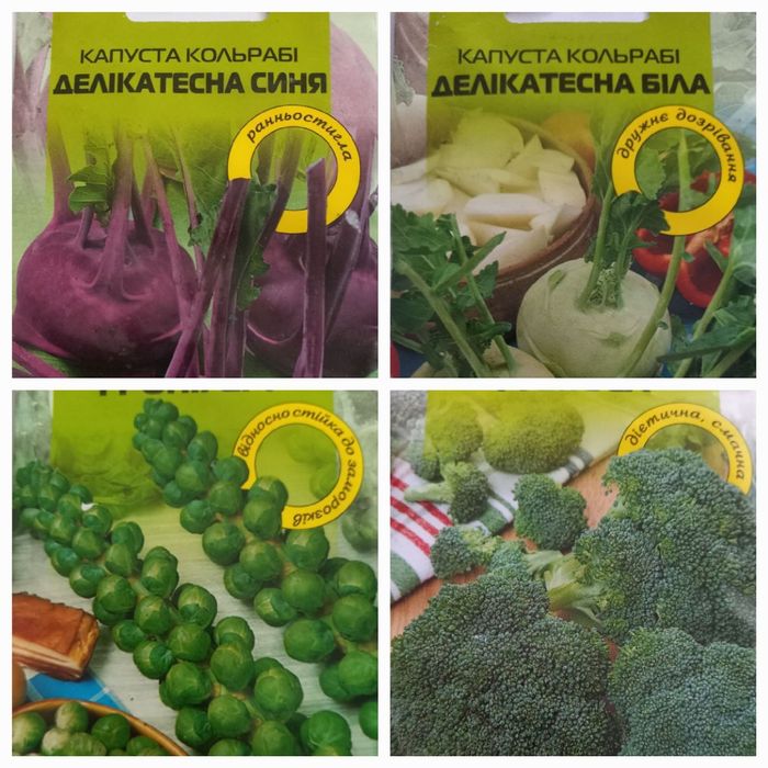 Фасоване насіння капусти