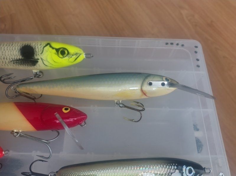 Salmo Whitefish Sweeper Slider