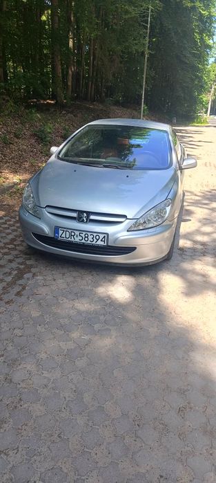 Peugeot 307cc Zadbany