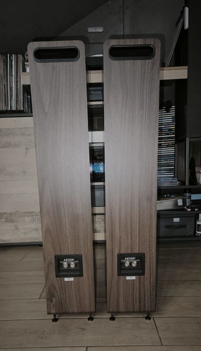 Підлогова Акустика Acoustic Energy AE 109