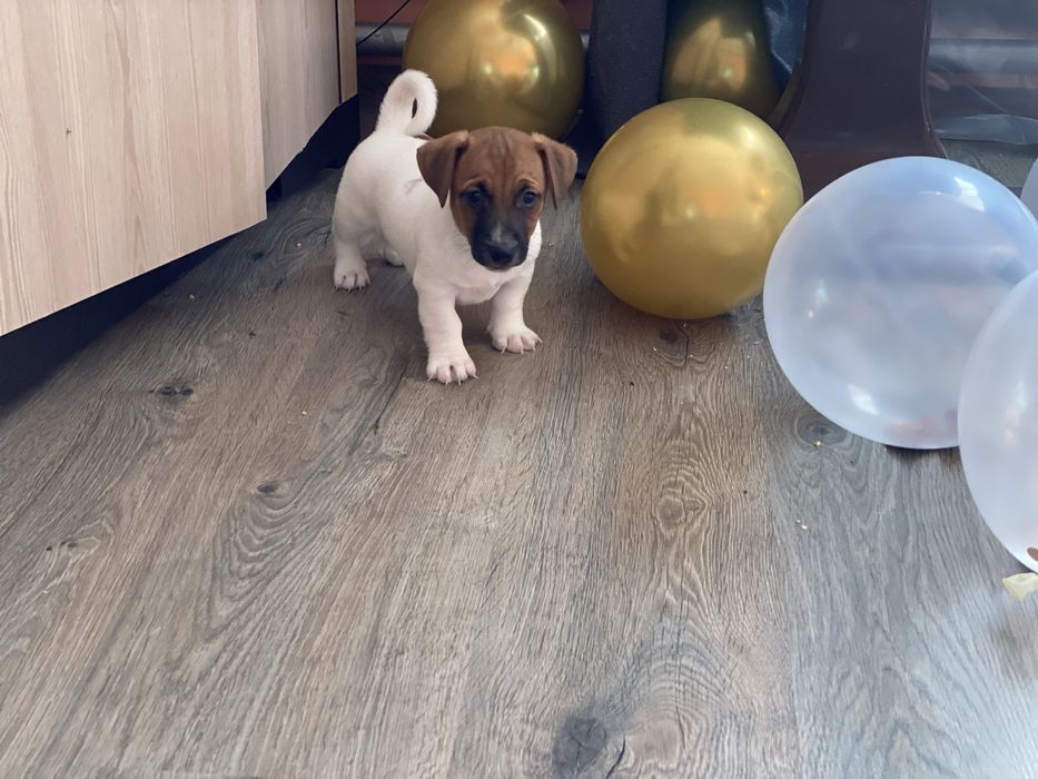 Найкращий подаруночок