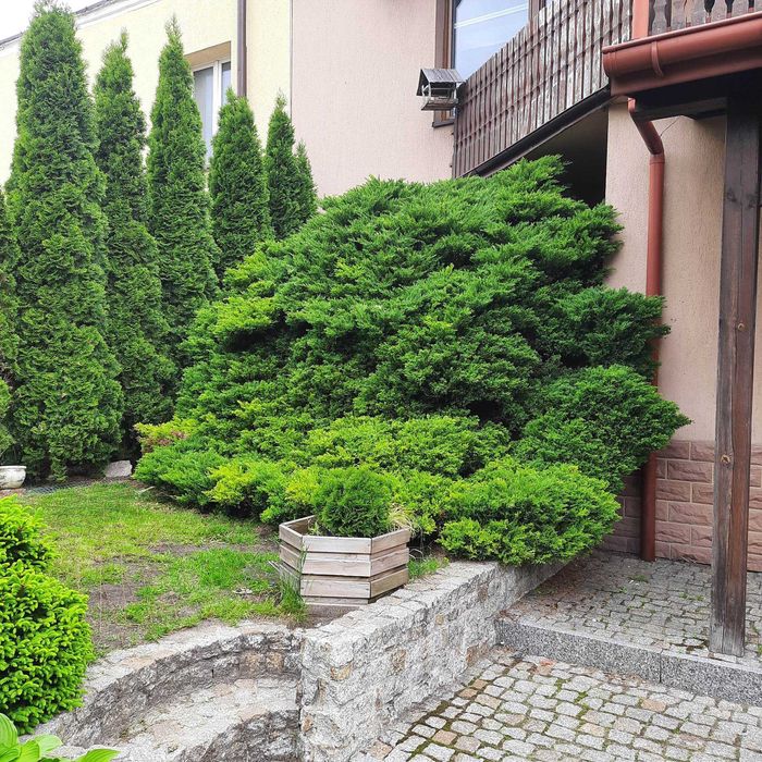 Dom w zabudowie szeregowej