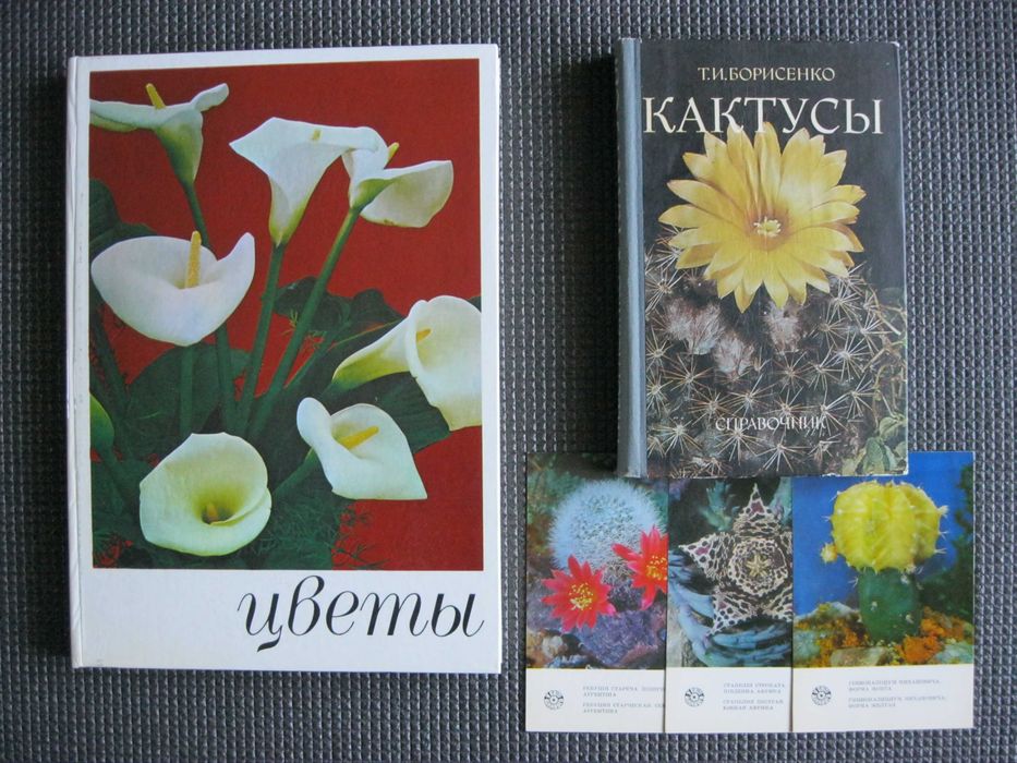 Книги Альбом Цветы Кактусы