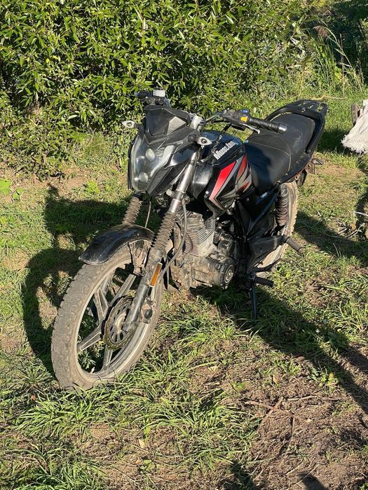 Продам мустанг регіон 150