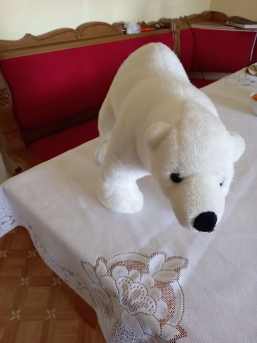 Biały miś polarny.