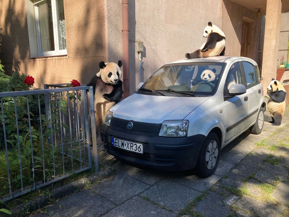 Ogłoszenia - Sprzedam, kupię na OLX.pl