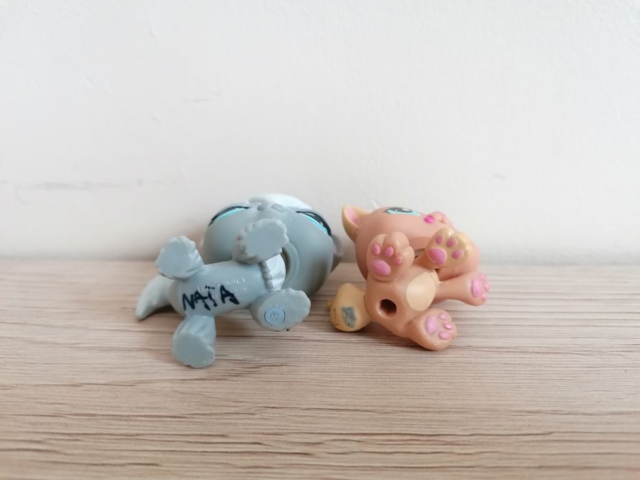 Littlest pet shop lps zestaw kotków