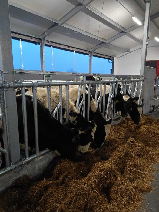 Bramy przepędowe, drabiny paszowe, agrafki, obejmy, wyposażenie obory