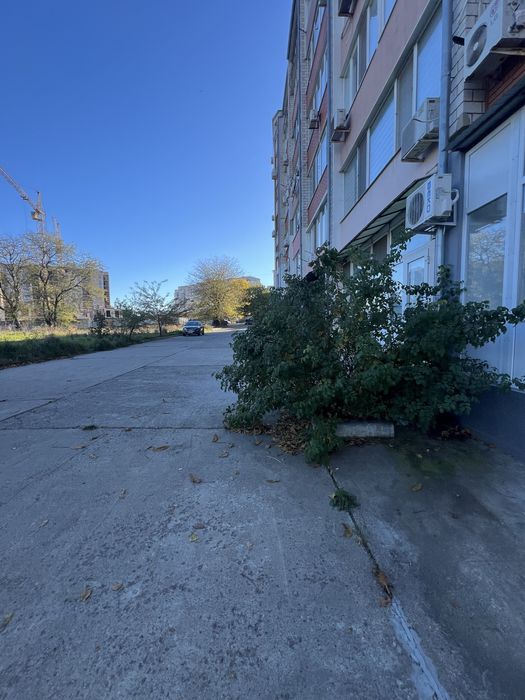 Сдаю в длительную аренду помещение в доме АББО