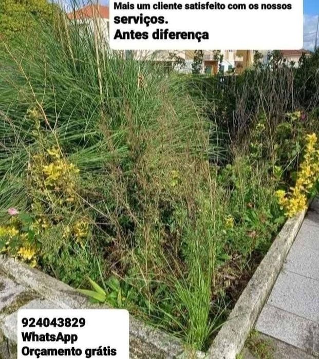 Faço limpeza geral Terrenos Jardins e Quintais com Rocadora Tb Faço Serviços Demolição Recolha Entulho Madeira Monos Resíduos Serviços Mudança