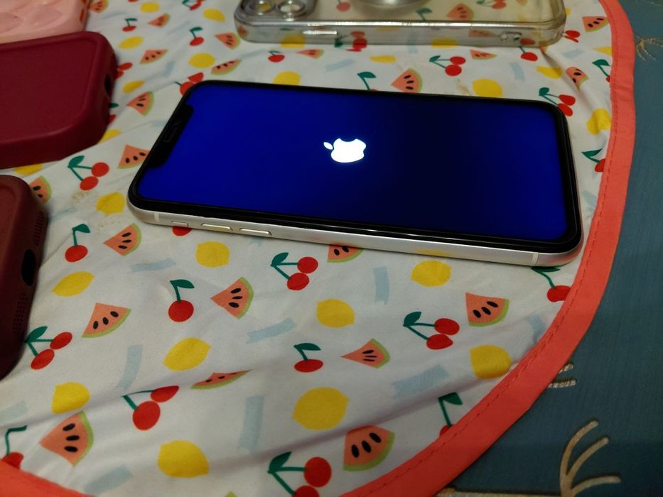 IPhone 11 com Cinco Capas
