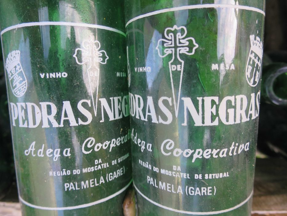 Garrafas Vinho Pedras Negras vidro pequenas velharias Adega Palmela