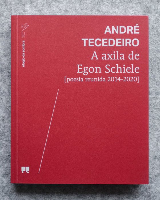 A axila de Egon Schiele