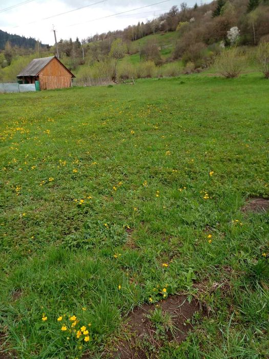 Земельна ділянка в центрі села