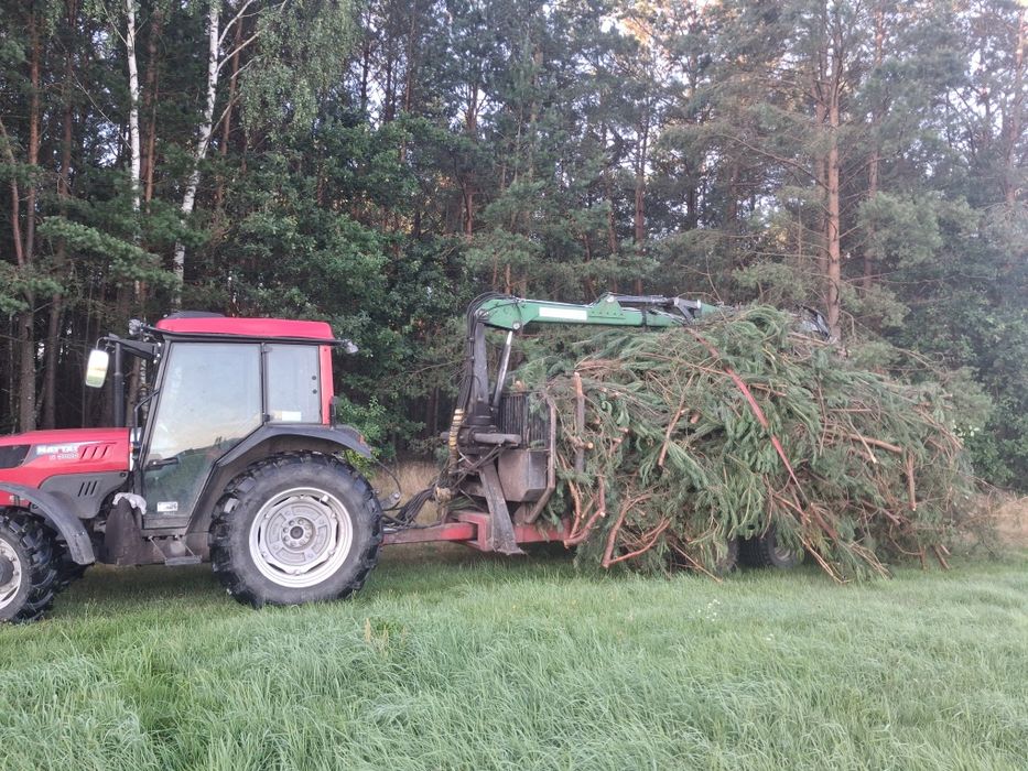 Wycinka, czyszczenie, grodzenie działek.