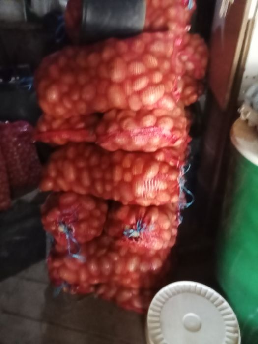 Vendo batatas belarosa