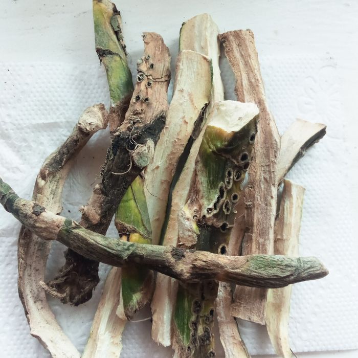 Корень аира-2025